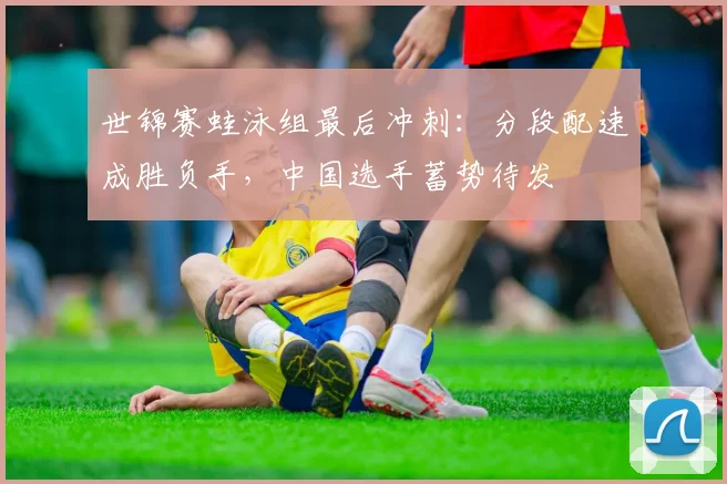 世锦赛蛙泳组最后冲刺：分段配速成胜负手，中国选手蓄势待发