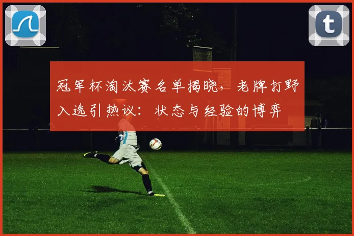 冠军杯淘汰赛名单揭晓,老牌打野入选引热议:状态与经验的博弈