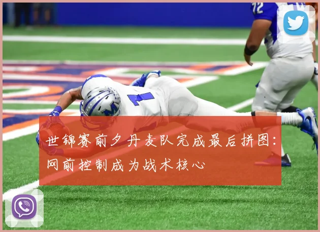 世锦赛前夕丹麦队完成最后拼图:网前控制成为战术核心